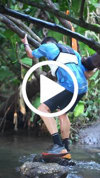 BIB:  <button type="button" onclick="openModal(27808207)" class="btn btn-primary btn-sm float-right" data-toggle="modal" data-target=".modal-high-quality">
                <i class="fa fa-download"></i> Download
                </button>